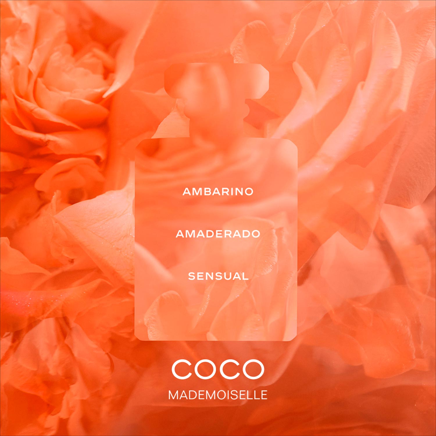 Coco Mademoiselle