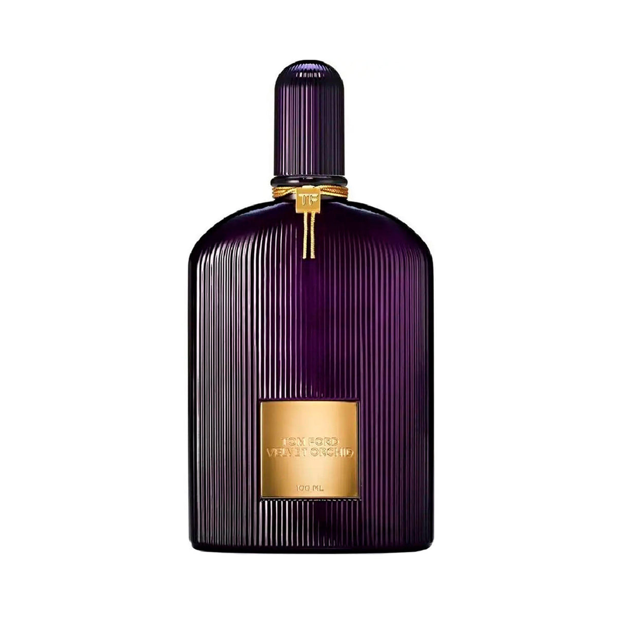 Velvet Orchid