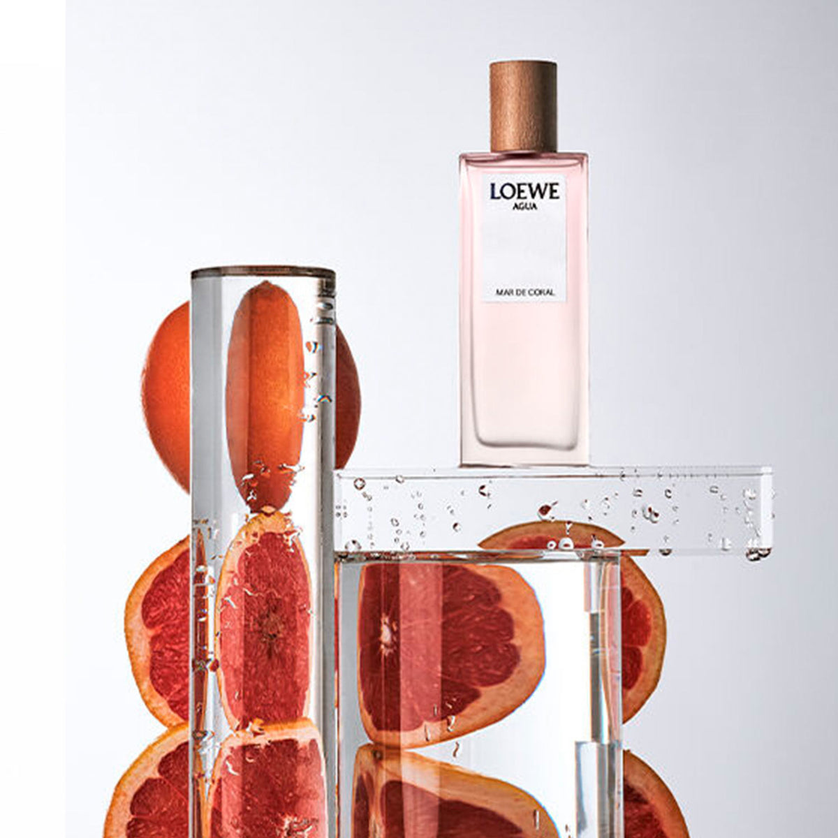 Loewe Agua Mar de Coral