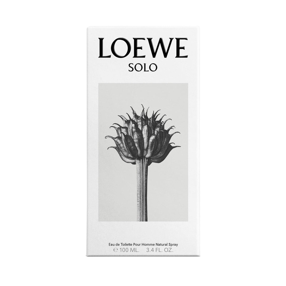 Solo Loewe