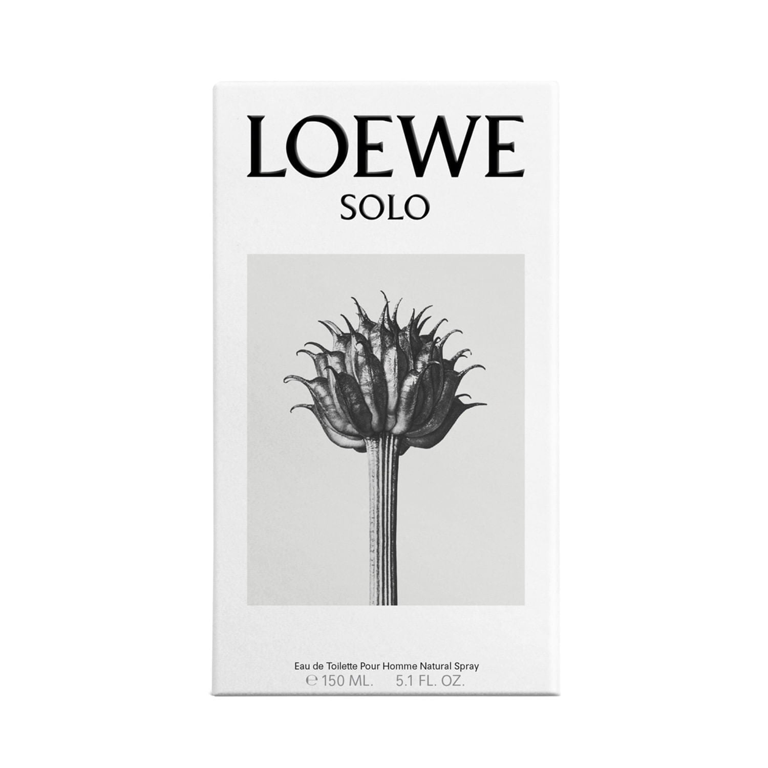 Solo Loewe