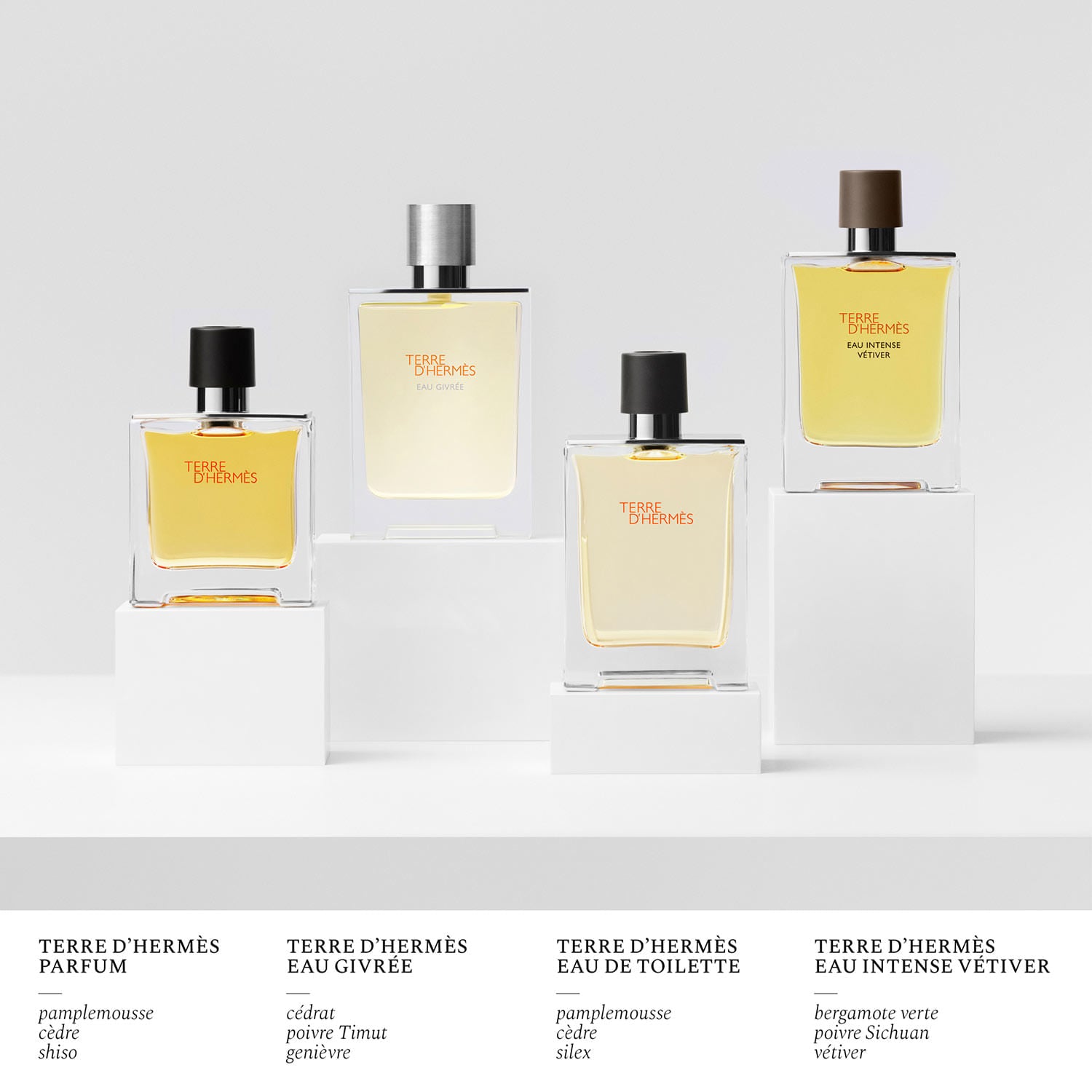 Terre D'hermès