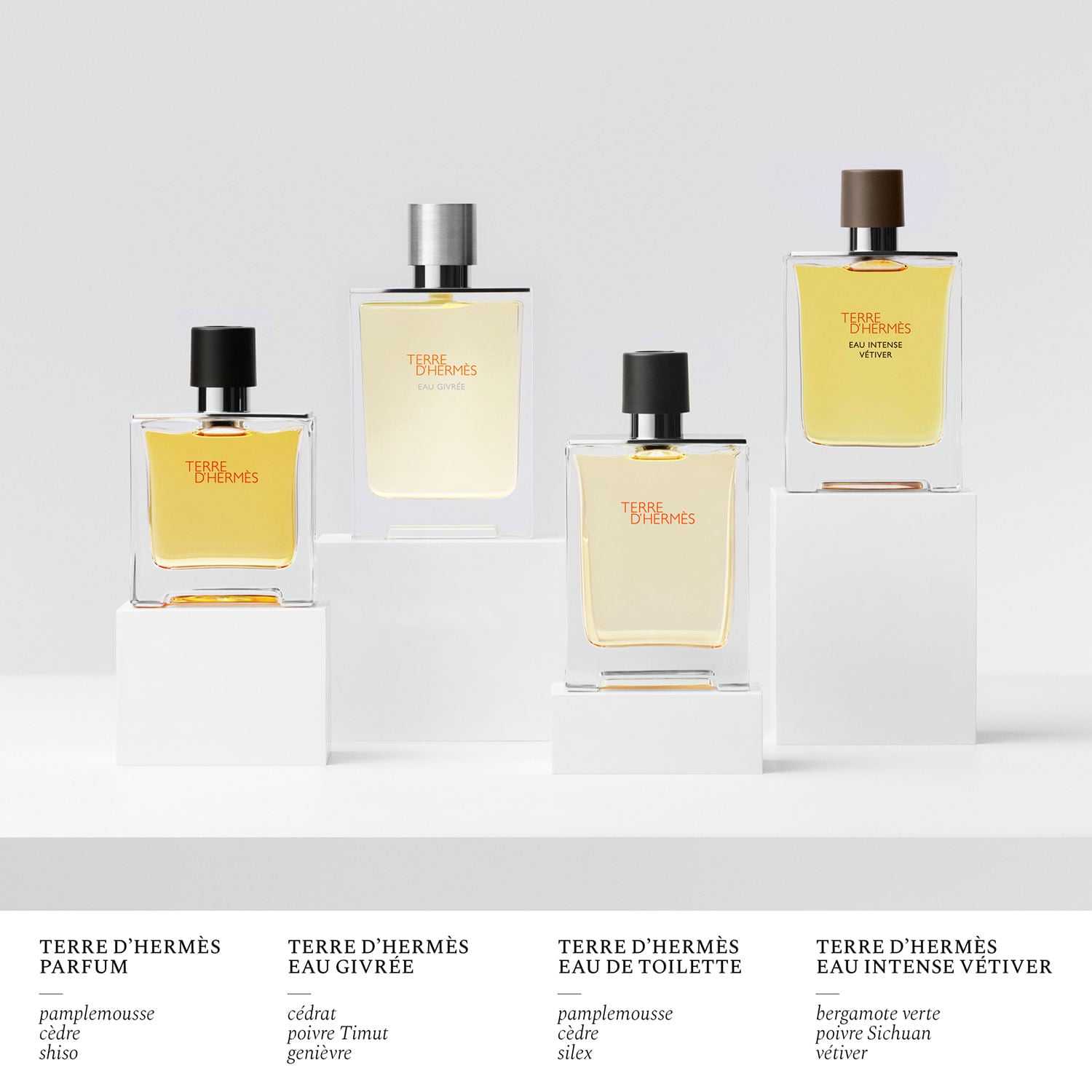 Terre D'hermès