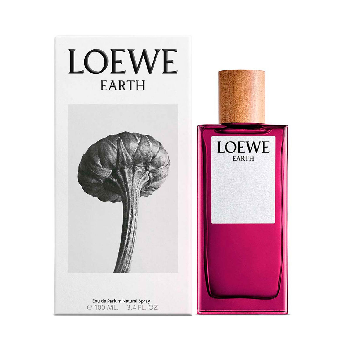 Loewe Earth