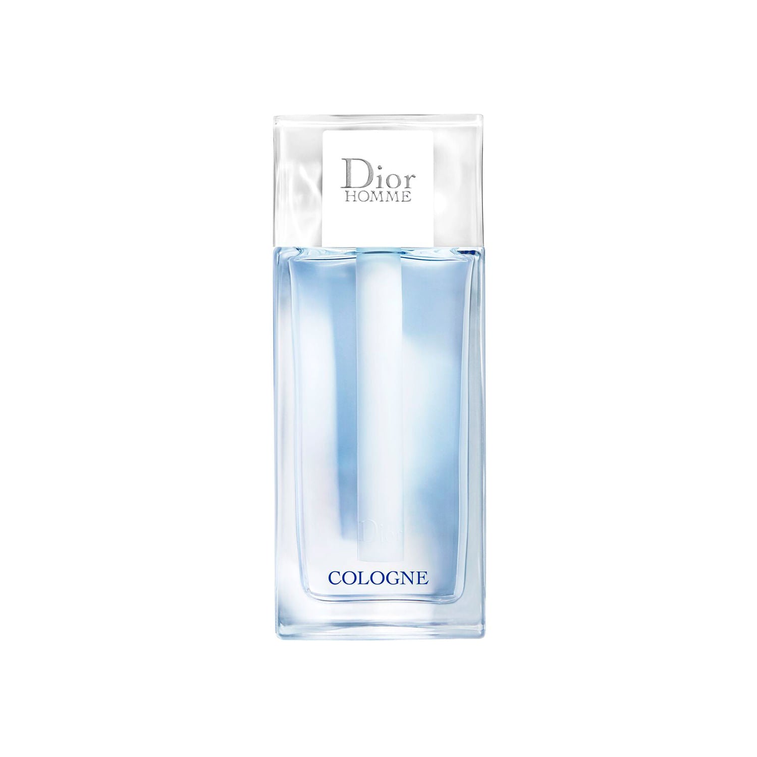 Dior Homme
