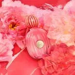 The Icon Splendid EDP