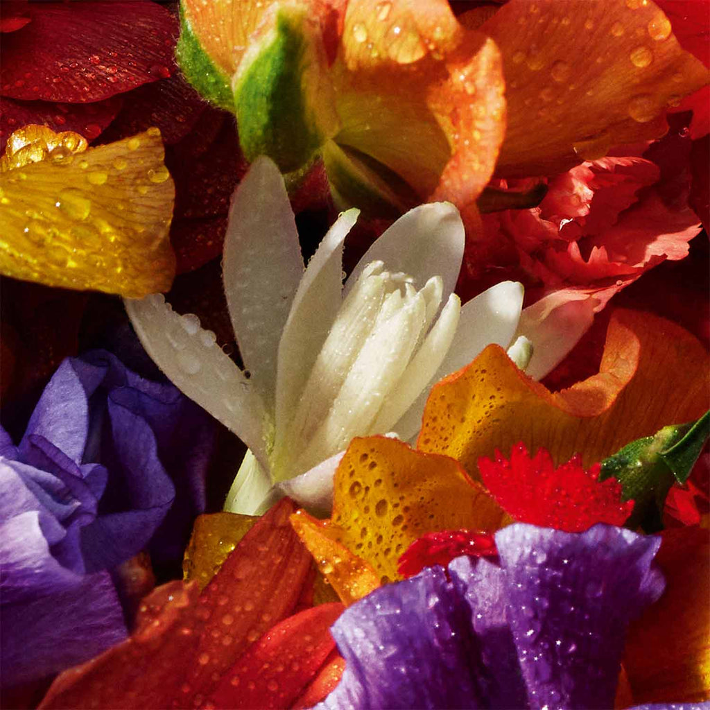 Aqua Allegoria Forte Florabloom