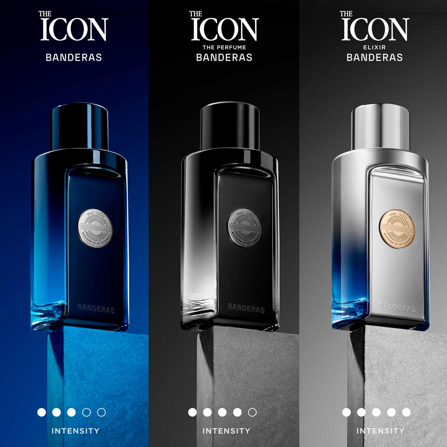 The Icon