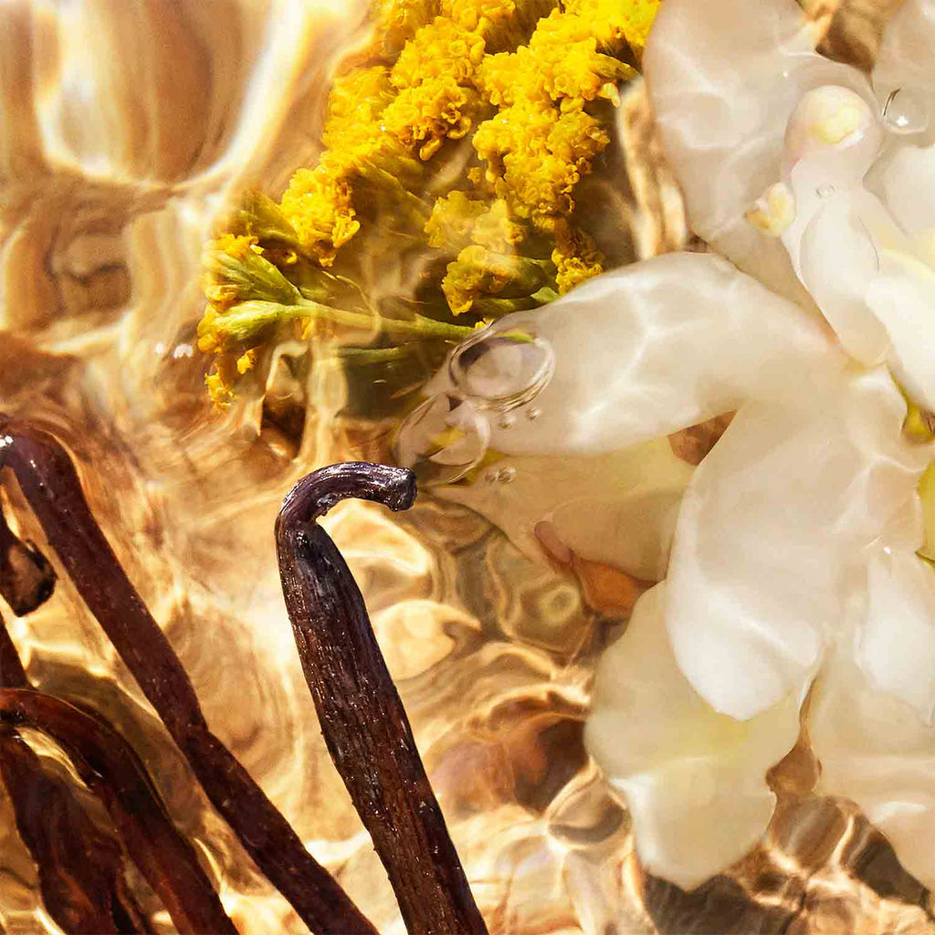 Aqua Allegoria Forte Bosca Vanilla