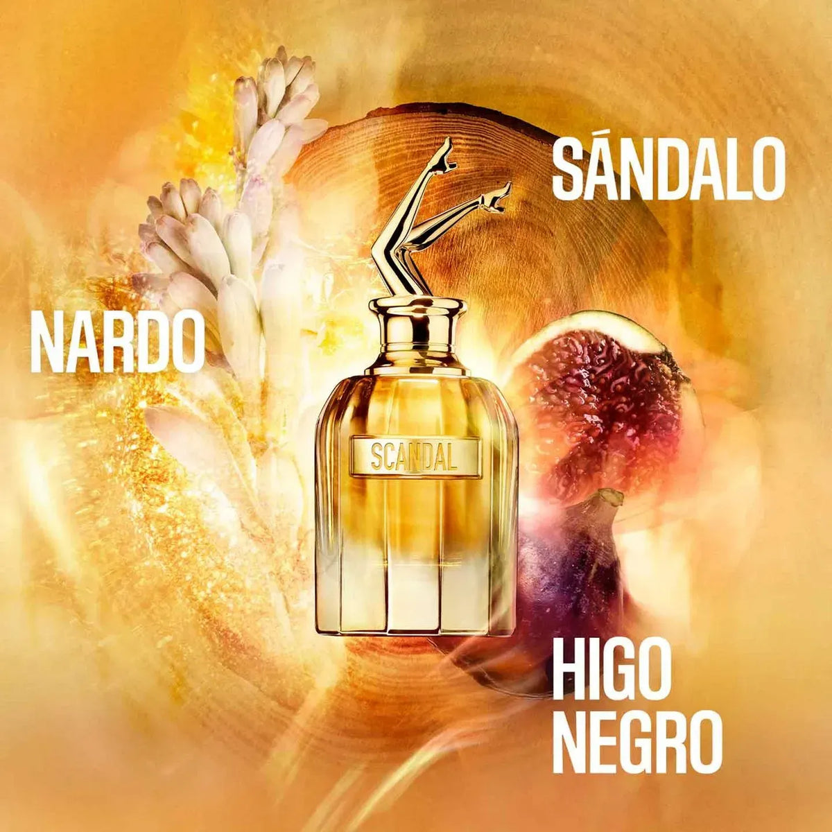 Scandal Absolu Parfum
