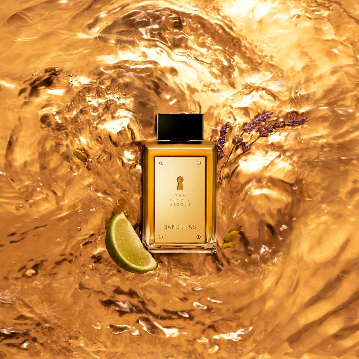 The Secret Absolu
