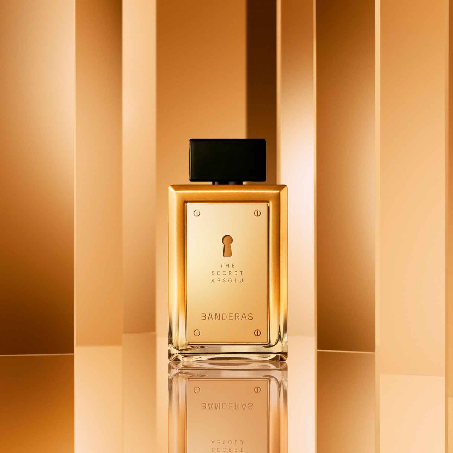The Secret Absolu