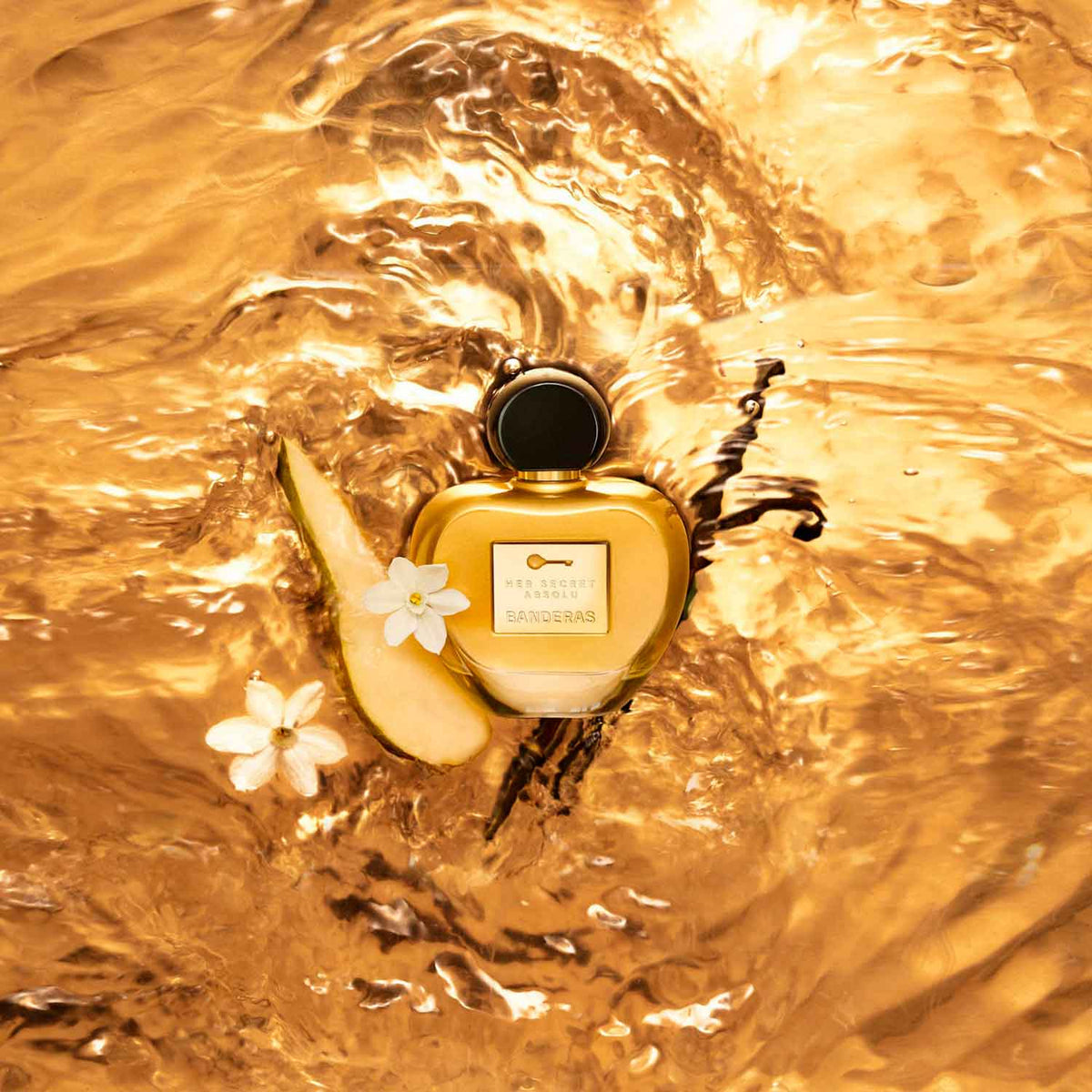 Her Secret Absolu