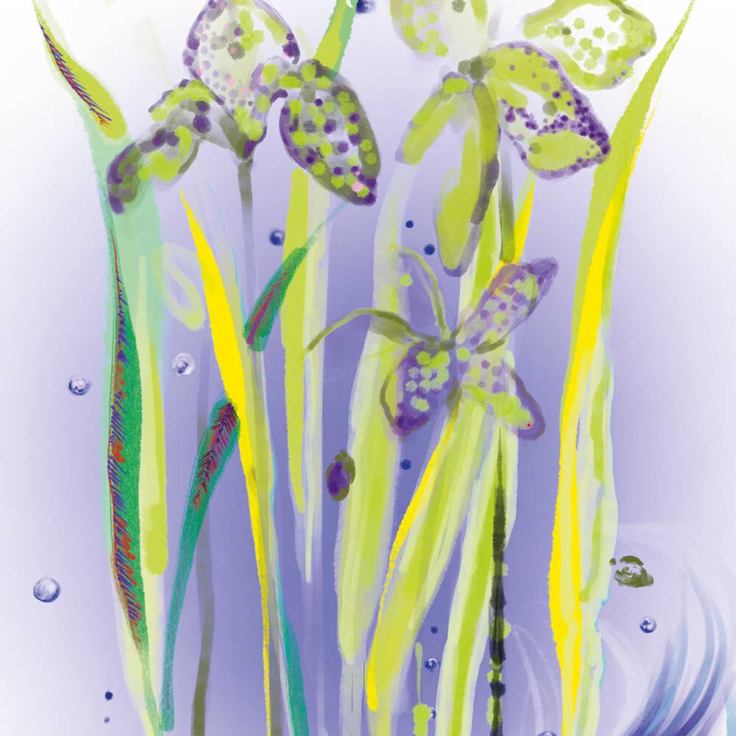 L'eau Rêvée D'alma