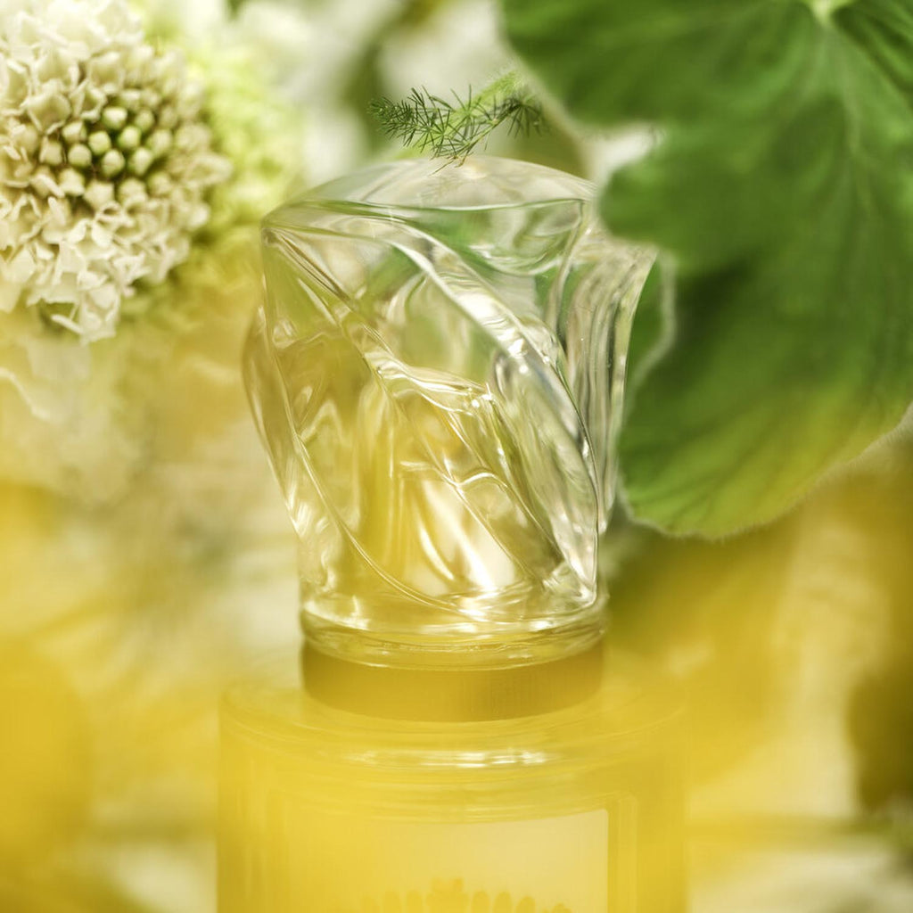 L'eau Rêvée D'hubert