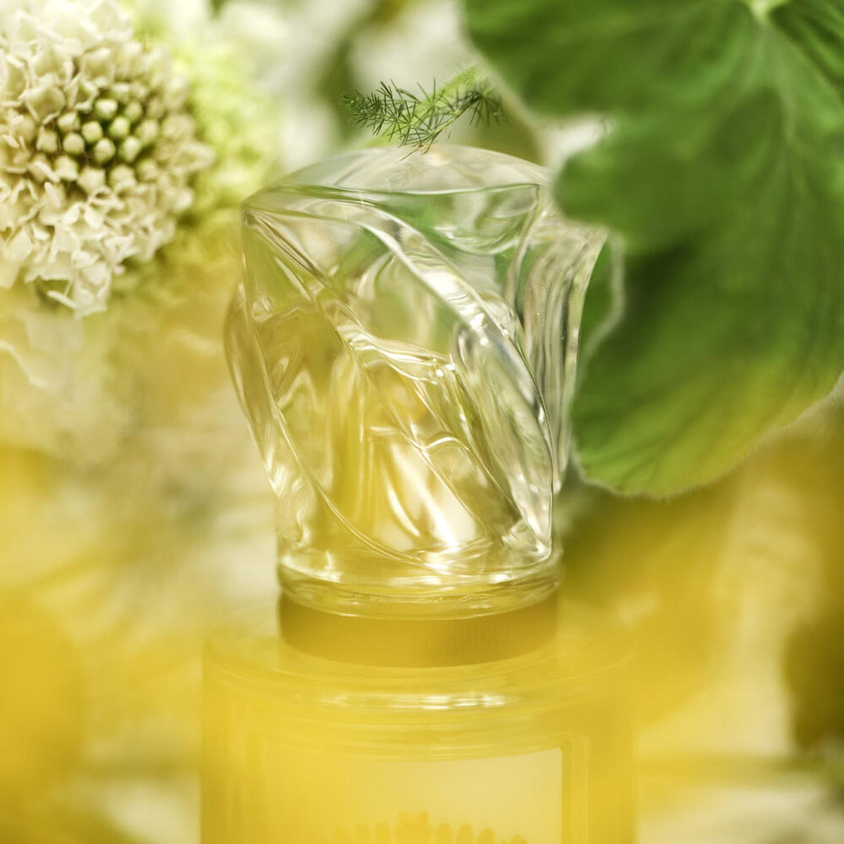 L'eau Rêvée D'hubert