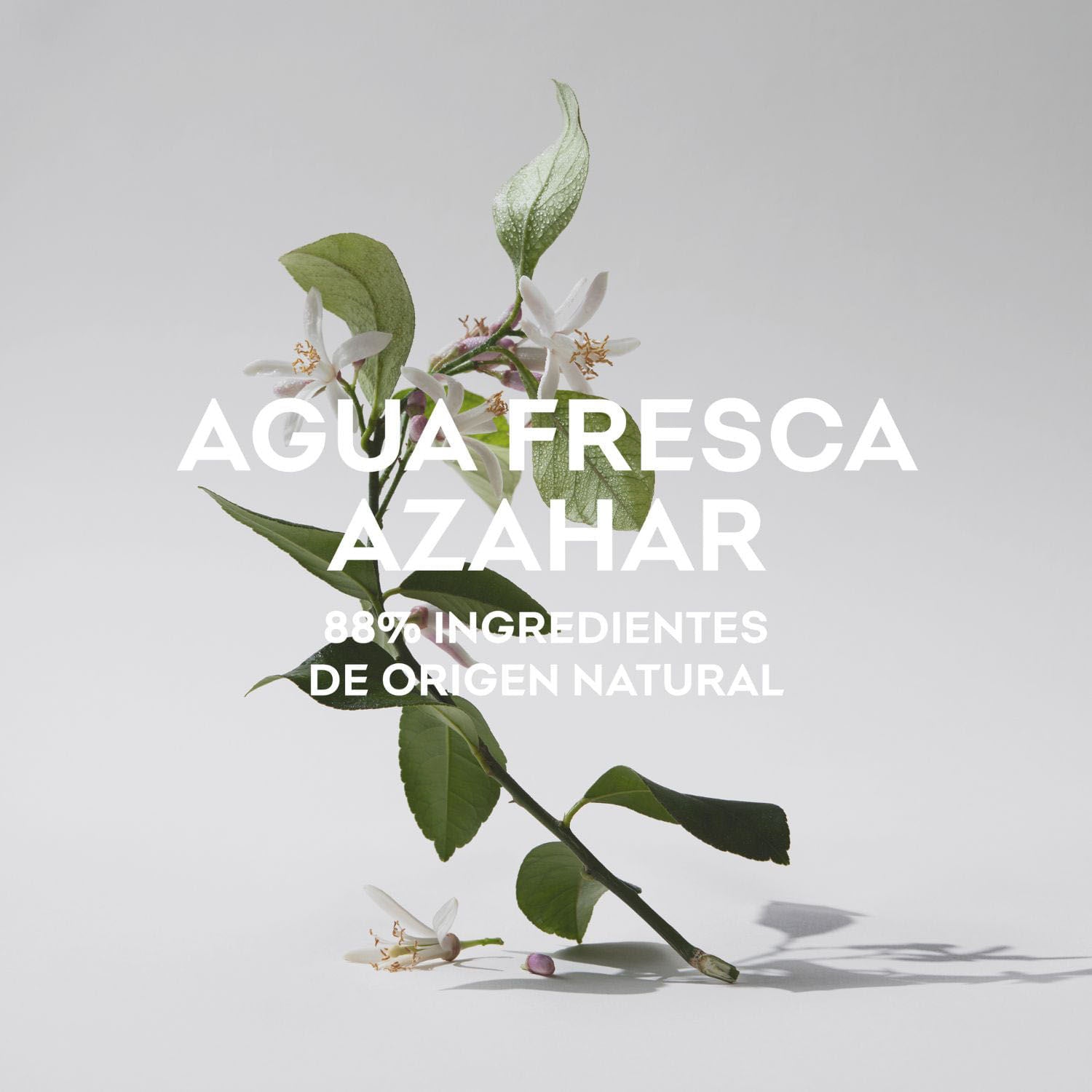 Agua Fresca de Azahar
