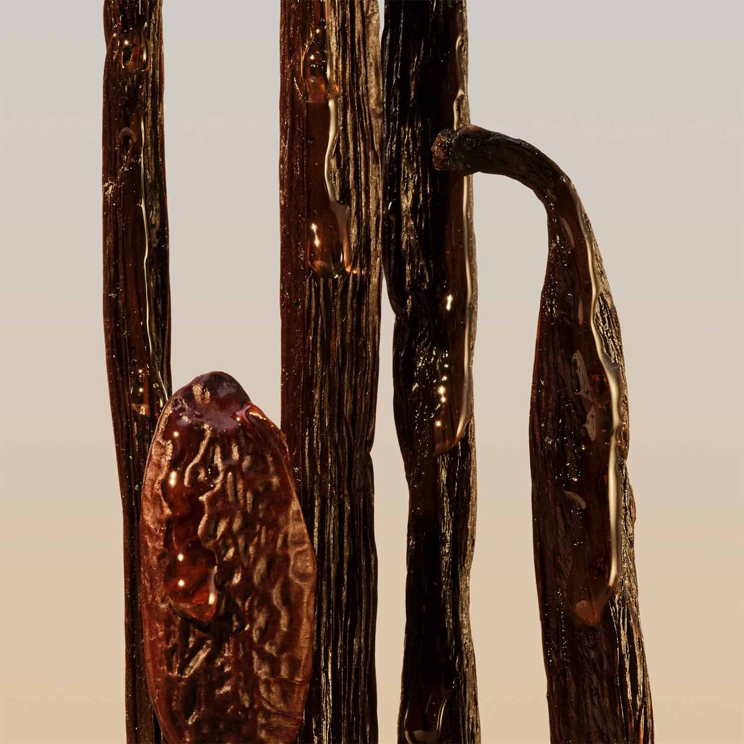 Chloé Refillable