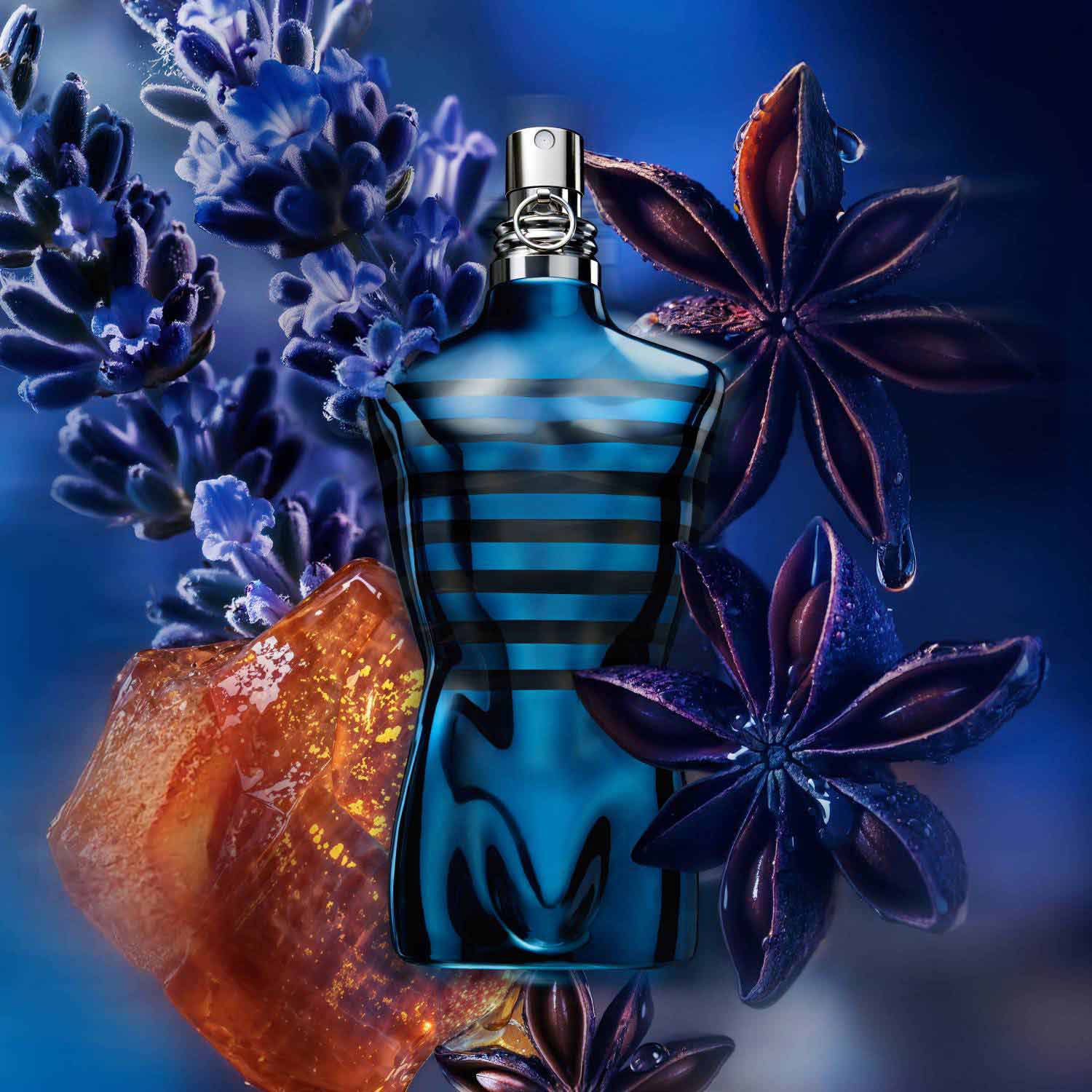 Le Male In Blue