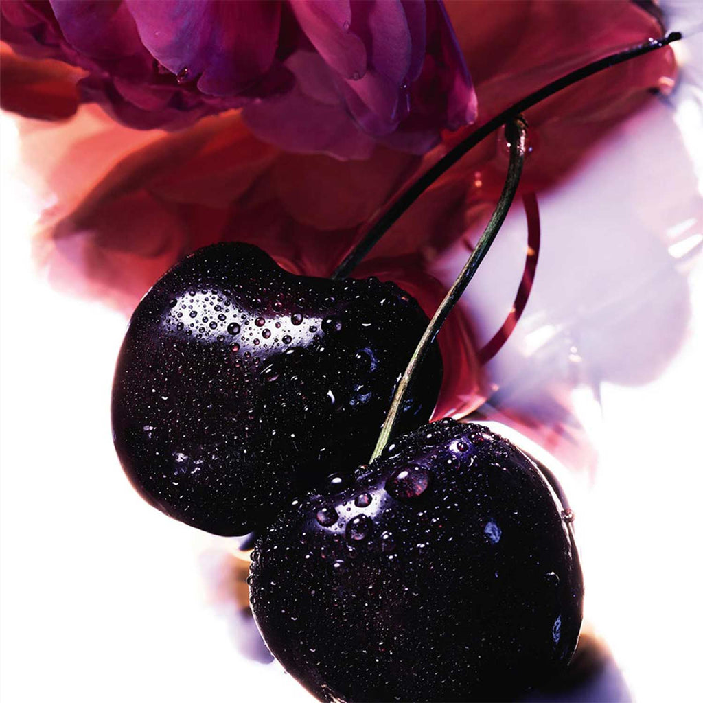 LA Petite Robe Noire