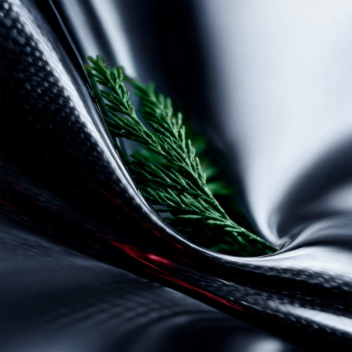 Luna Rossa Carbon