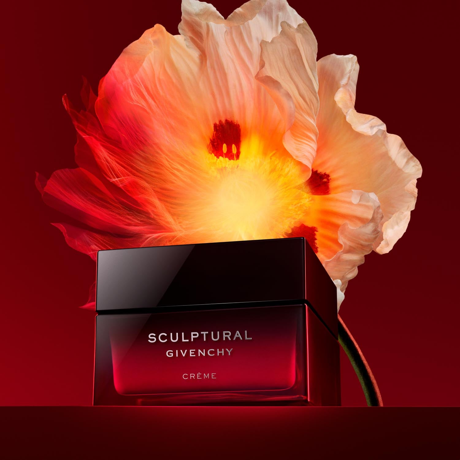 Sculptural Cream 50 ML