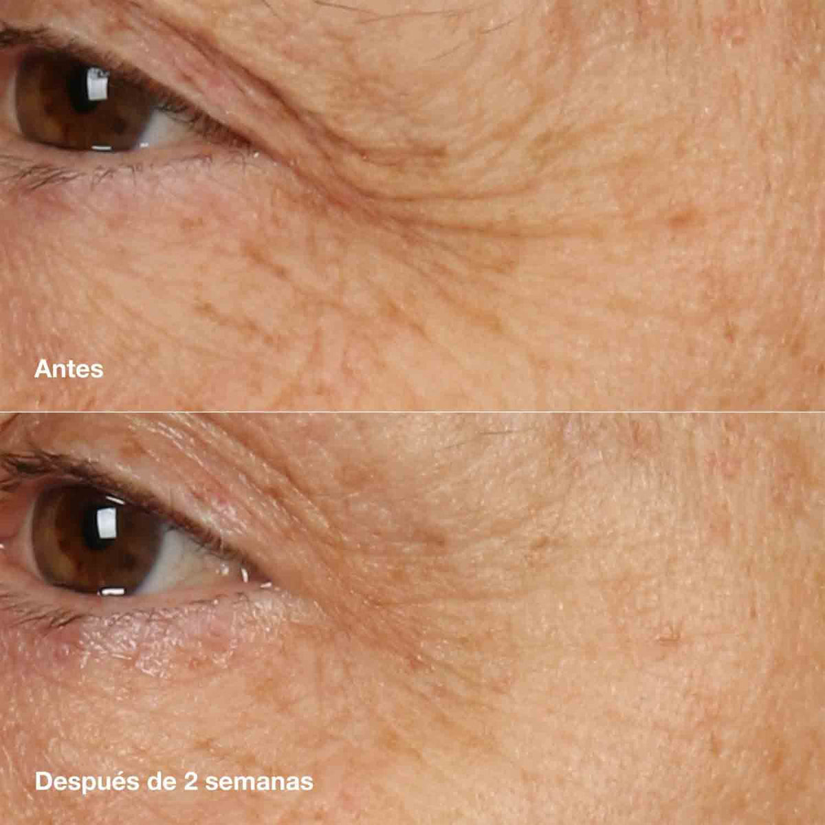 Smart Clinical Repair Overnight Recovery Cream + Mask