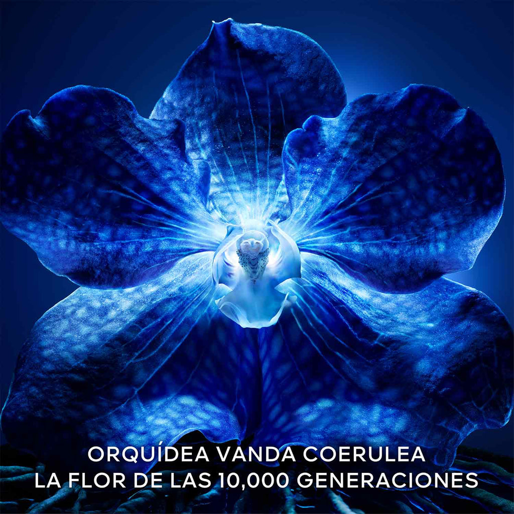 Orquidea Imperial 6G Day Cream