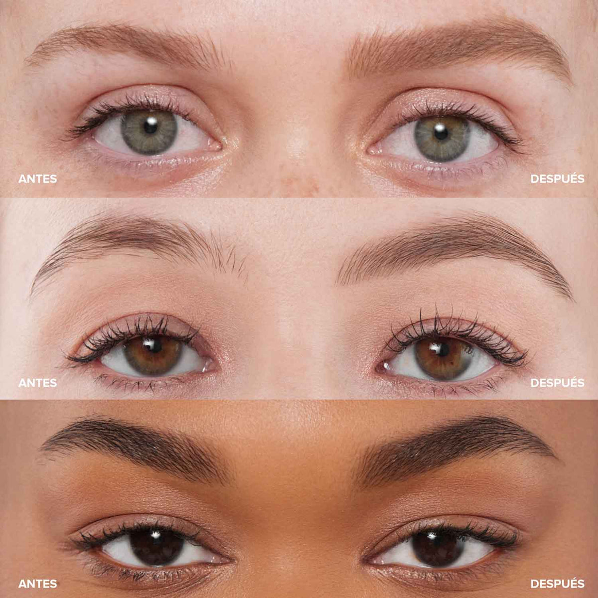 Brow Powder Duo