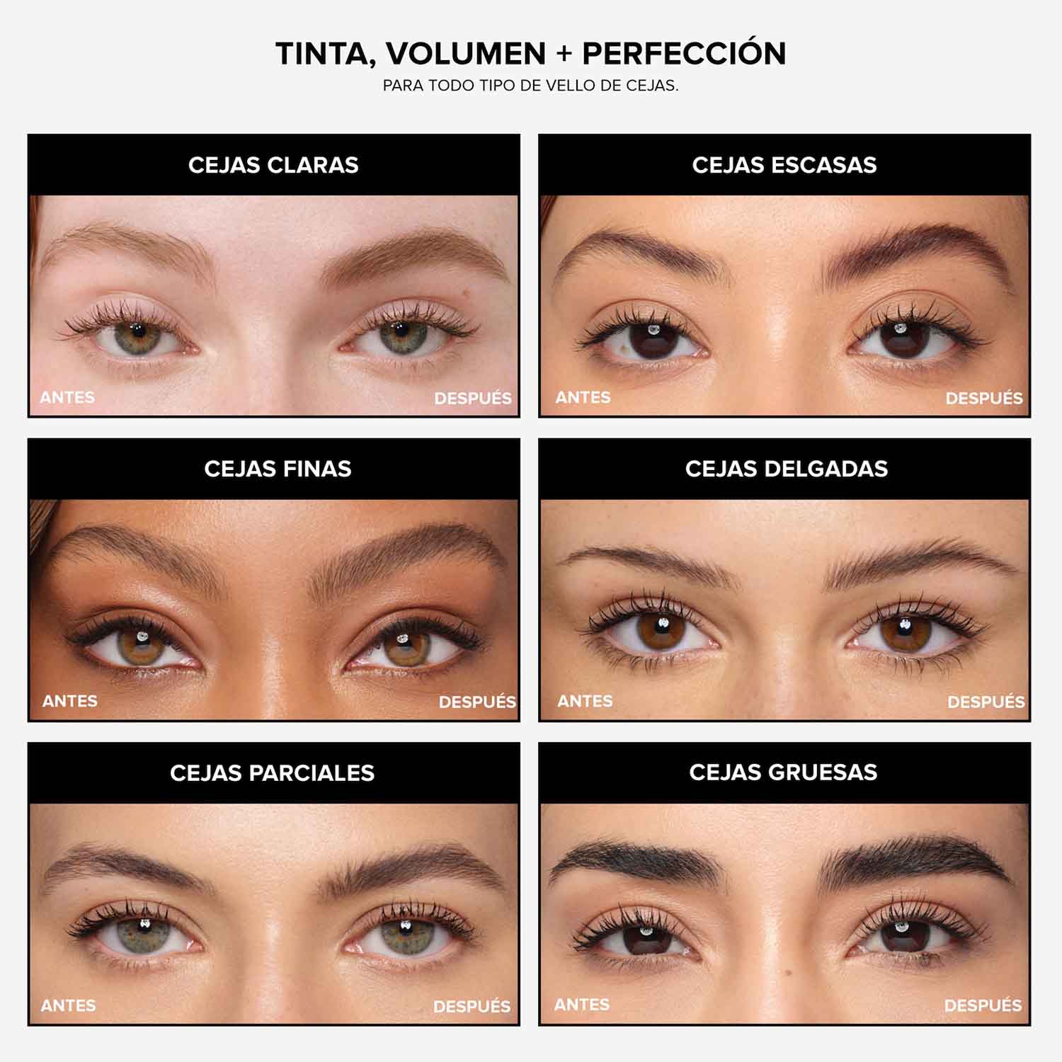 Volumizing Tinted Brow