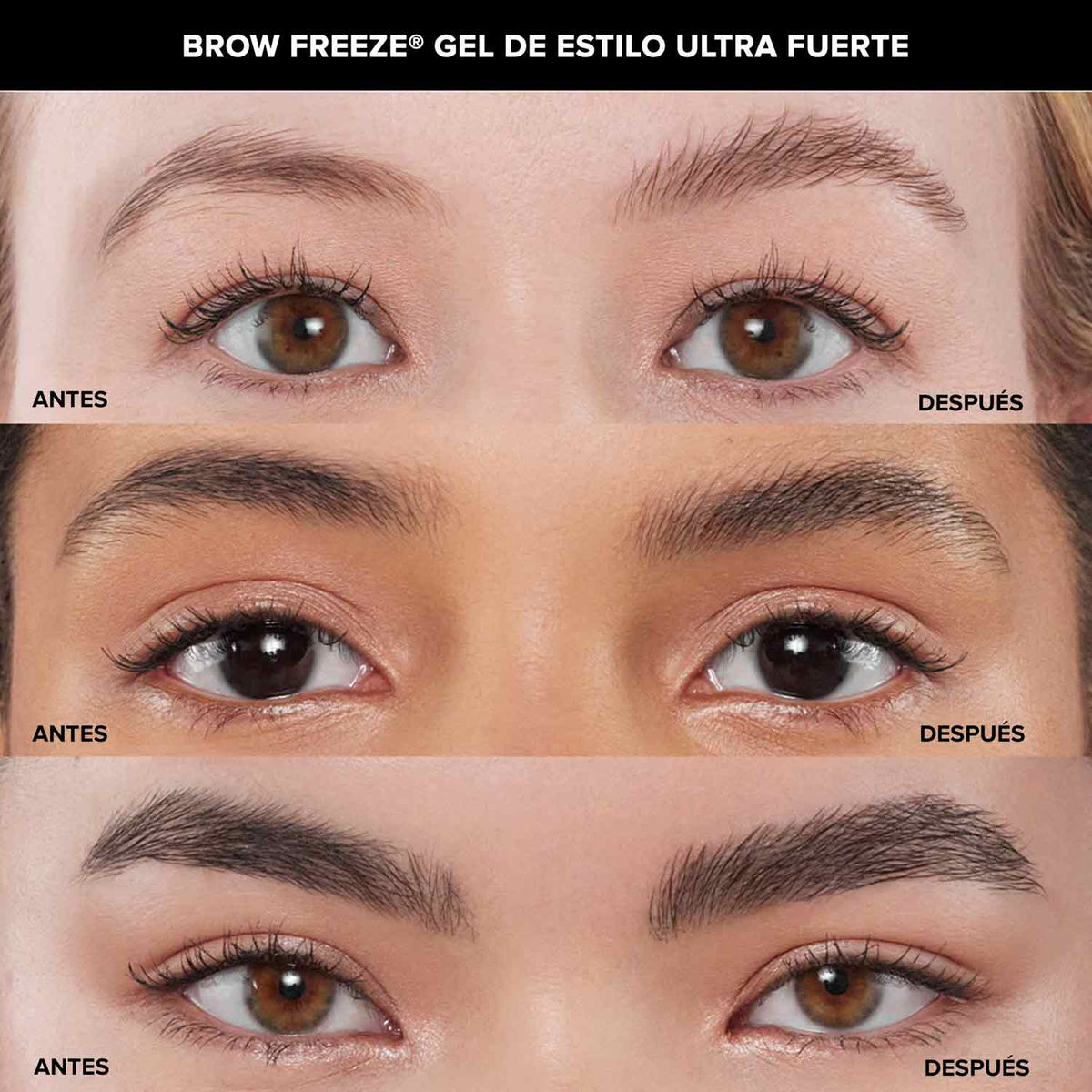 Sculpted & Defined Brow Trio