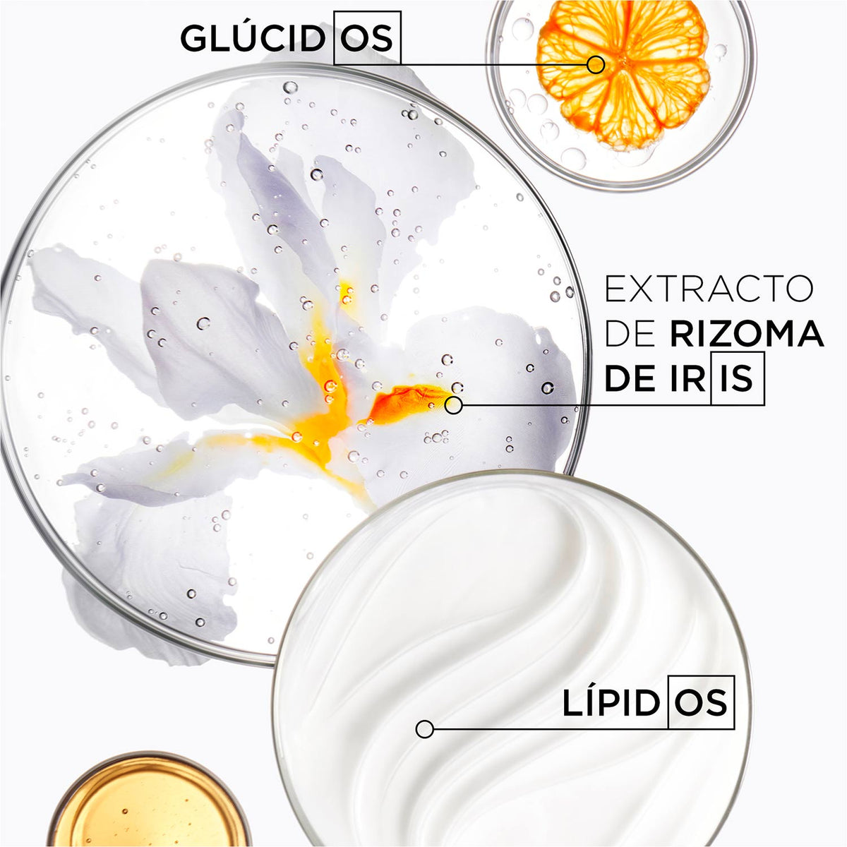 Nutritive New Nectar Thermique
