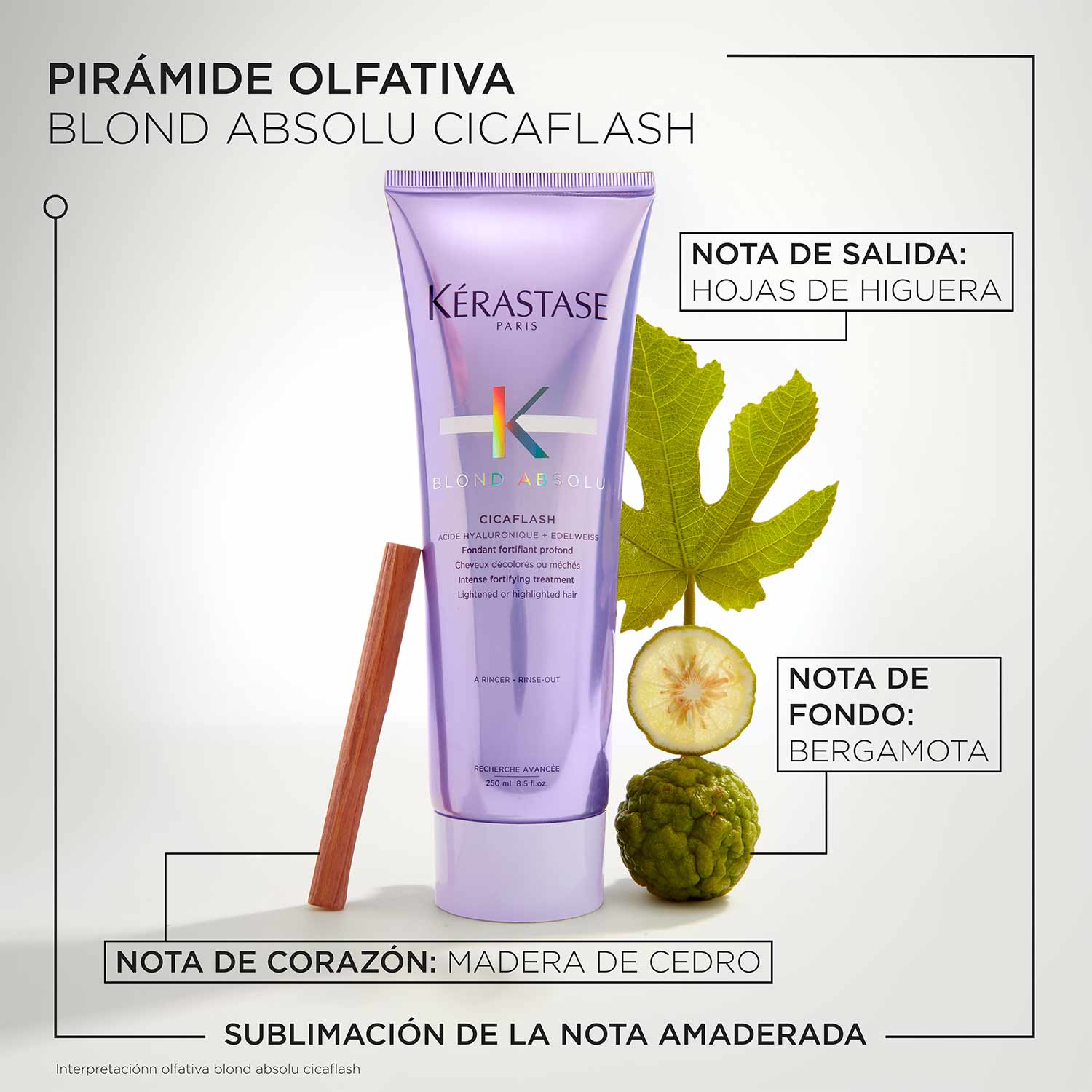 Blond Absolu Cicaflash