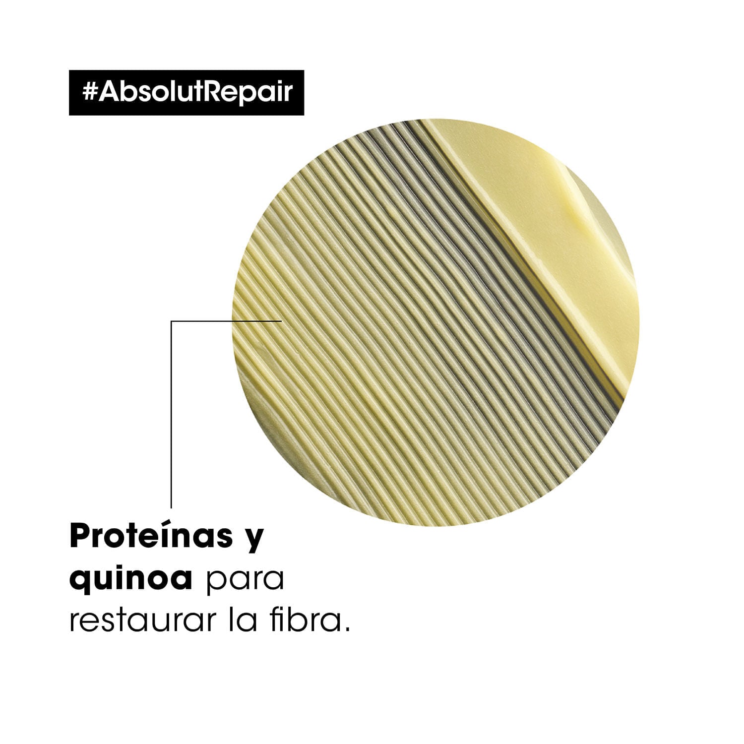 Absolut Repair Lipidium Gold Quinoa Acondicionador