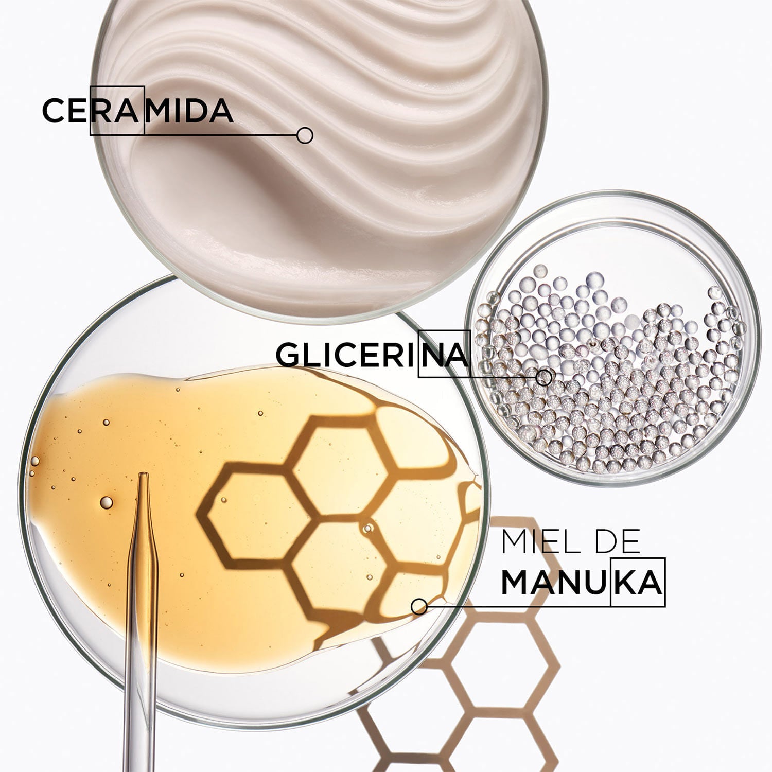 Curl Manifesto Bain Hydratation Douceur