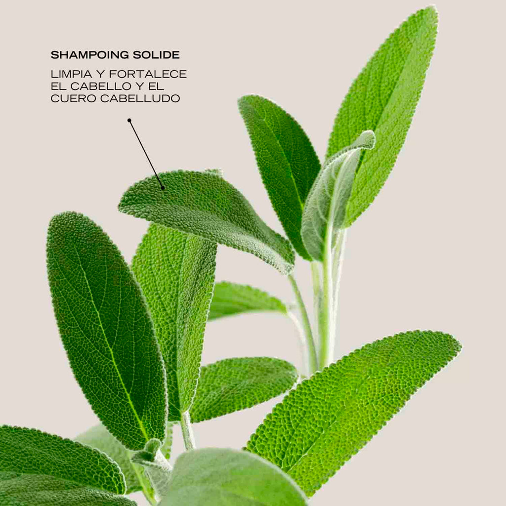 Essentiel Shampoing Solide