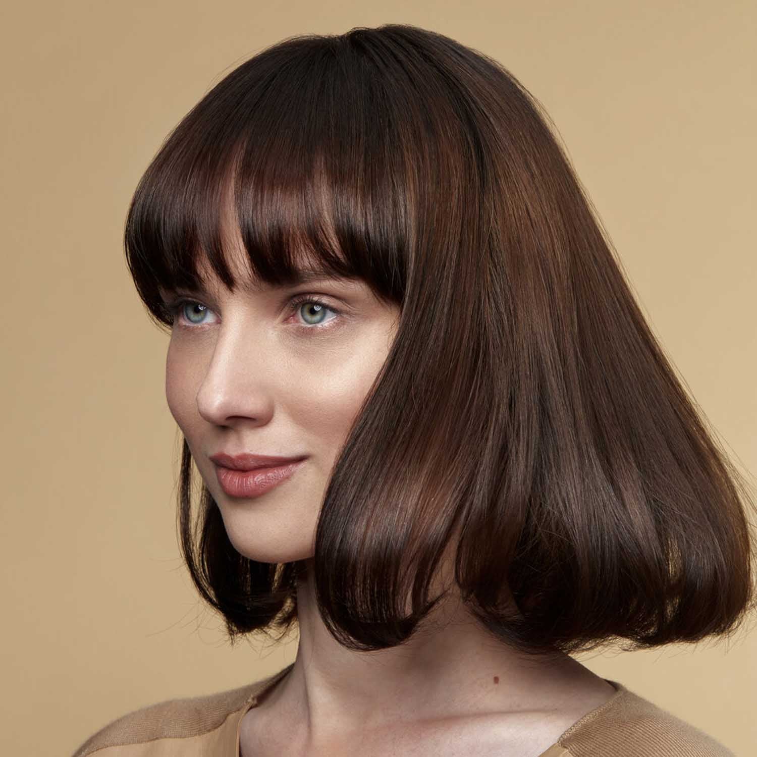 The Blow-dry Brush